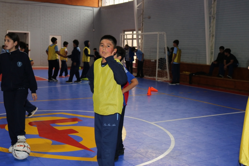 Día de la Actividad Física